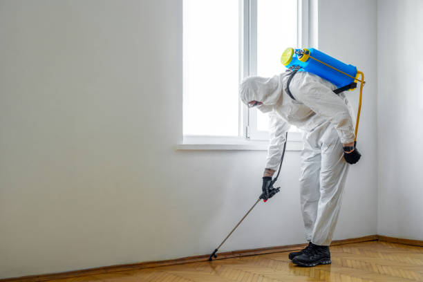 Real Estate Pest Inspections in Lynn, IN